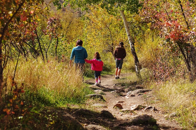 A scenic view of a family hiking a well-maintained trail in a National Park. The parents are pointing out interesting flora and fauna to their children, who are looking on with curiosity. The trail winds through a forest with sunlight filtering through the canopy.