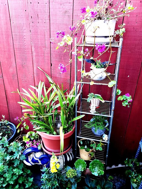 Vertical Garden Ideas: Small Space Herb & Veggie Paradise