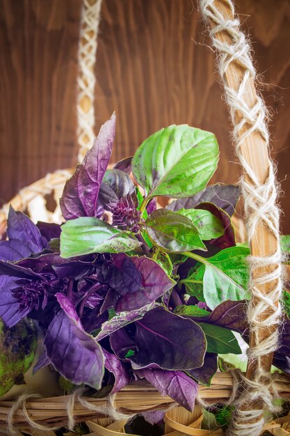 A close-up of various herbs and vegetables thriving in a vertical garden setup, including basil, mint, lettuce, and strawberries. The image highlights the vibrant colors and textures of the plants, showcasing their healthy growth and the visual appeal of the garden.
