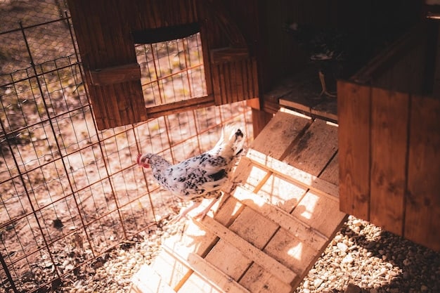 Build a Chicken Coop: Beginner’s Step-by-Step Guide for Fresh Eggs