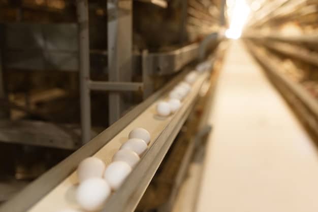 A medium shot of the interior of a chicken coop, showing nesting boxes lined with straw. The boxes are clean and well-maintained, and there are a few eggs visible in one of the boxes.