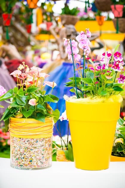 Turn Old Tires into Planters: Creative DIY Garden Upcycling