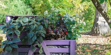 Create a Compost Bin: Your Guide to Sustainable Gardening - Cover Image