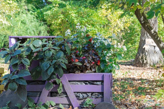 Create a Compost Bin: Your Guide to Sustainable Gardening