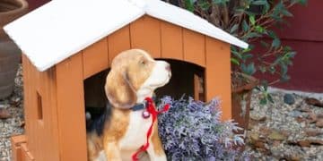 Build a Dog House: A Weekend DIY Project for Your Furry Friend - Cover Image