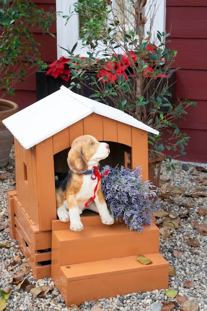 Build a Dog House: A Weekend DIY Project for Your Furry Friend