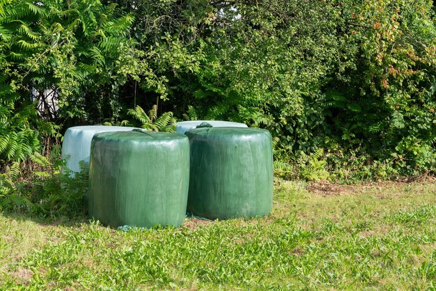 DIY Rain Barrel System: Save Water & Money (Up to 30% Off!)